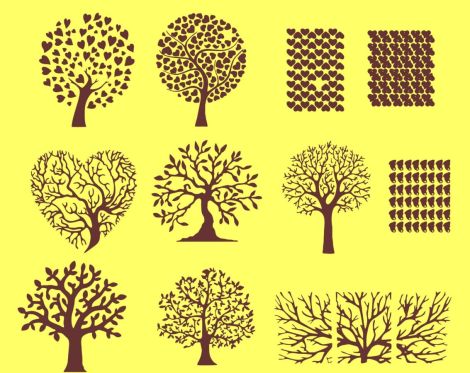 Árboles con hojas en forma de corazón: guía y especies
