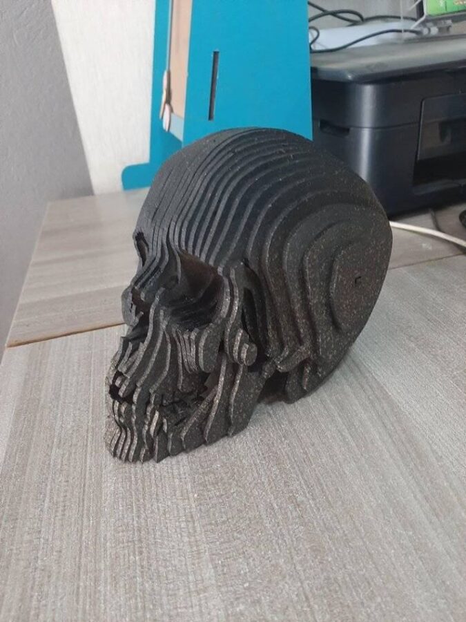 Cráneo Humano 3D: Modelo Detallado y Realista