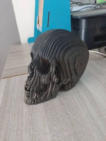 Cráneo Humano 3D: Modelo Detallado y Realista