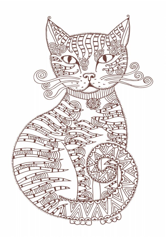 Gato de Bigotes Espirales: Curiosidades y Datos Interesantes