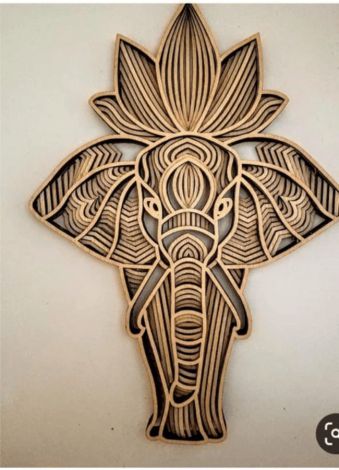 Elefante de Frente: Imágenes y Características