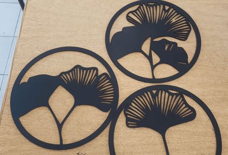 Amapolas: Significado, Cuidados y Variedades